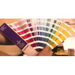 Peinture de toit à la couleur de la carrosserie