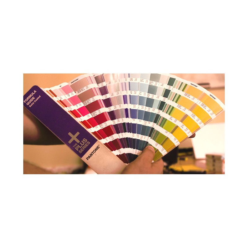 Peinture de toit à la couleur de la carrosserie