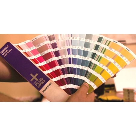 Peinture de toit à la couleur de la carrosserie