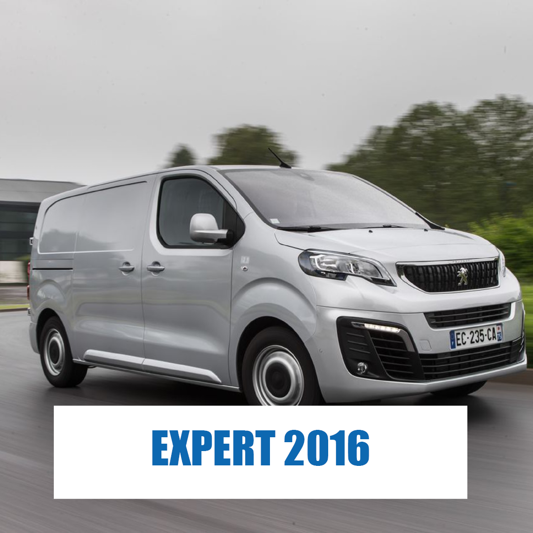 Expert 2016